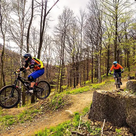Sowia Nowe Nad Górskim Potokiem