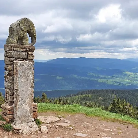 Appartamento Sowia Nowe Nad Gorskim Potokiem Zachwycajacy Widok Na Gory *