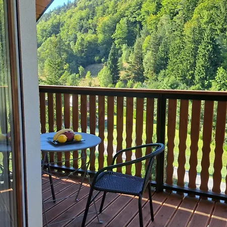 Sowia Nowe Nad Górskim Potokiem Apartamento Stronie Śląskie