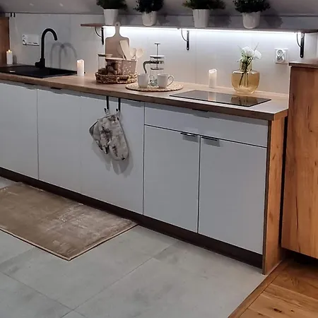 Apartamento Nowe Sudecka Perla Nad Gorskim Potokiem W Willi Sowiej