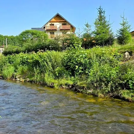Nowe Sudecka Perla Nad Gorskim Potokiem W Willi Sowiej Apartamento Stronie Śląskie