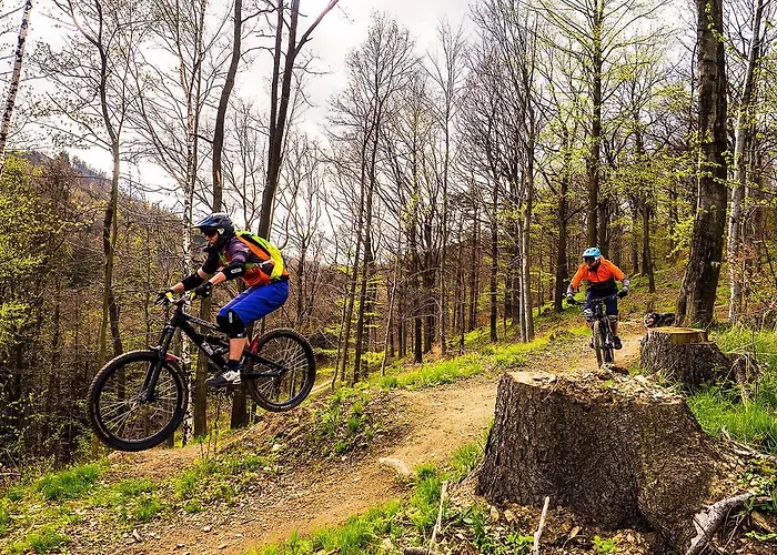 Sowia Nowe Nad Gorskim Potokiem Zachwycajacy Widok Na Gory