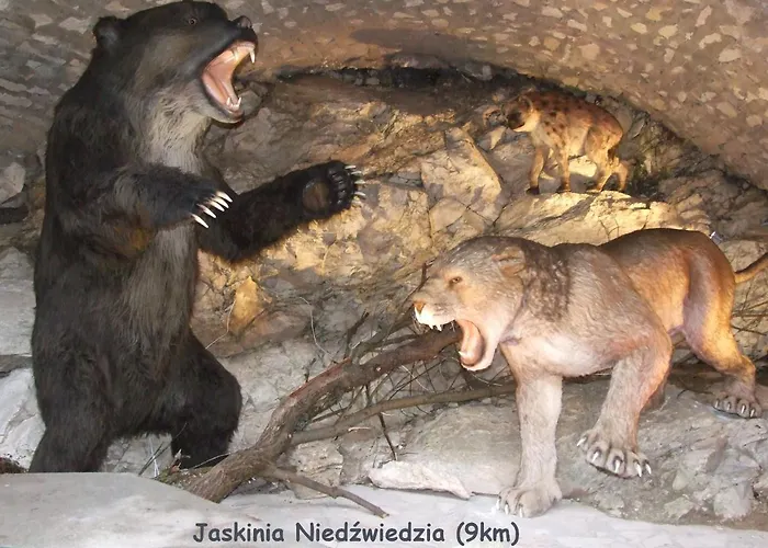 Apartment Sowia Nowe Nad Gorskim Potokiem Zachwycajacy Widok Na Gory Stronie Śląskie